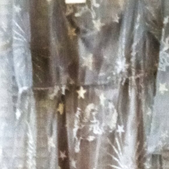 NWT Plus Size 26 Sheer Celestial Dress and Lining - Picture 4 of 8